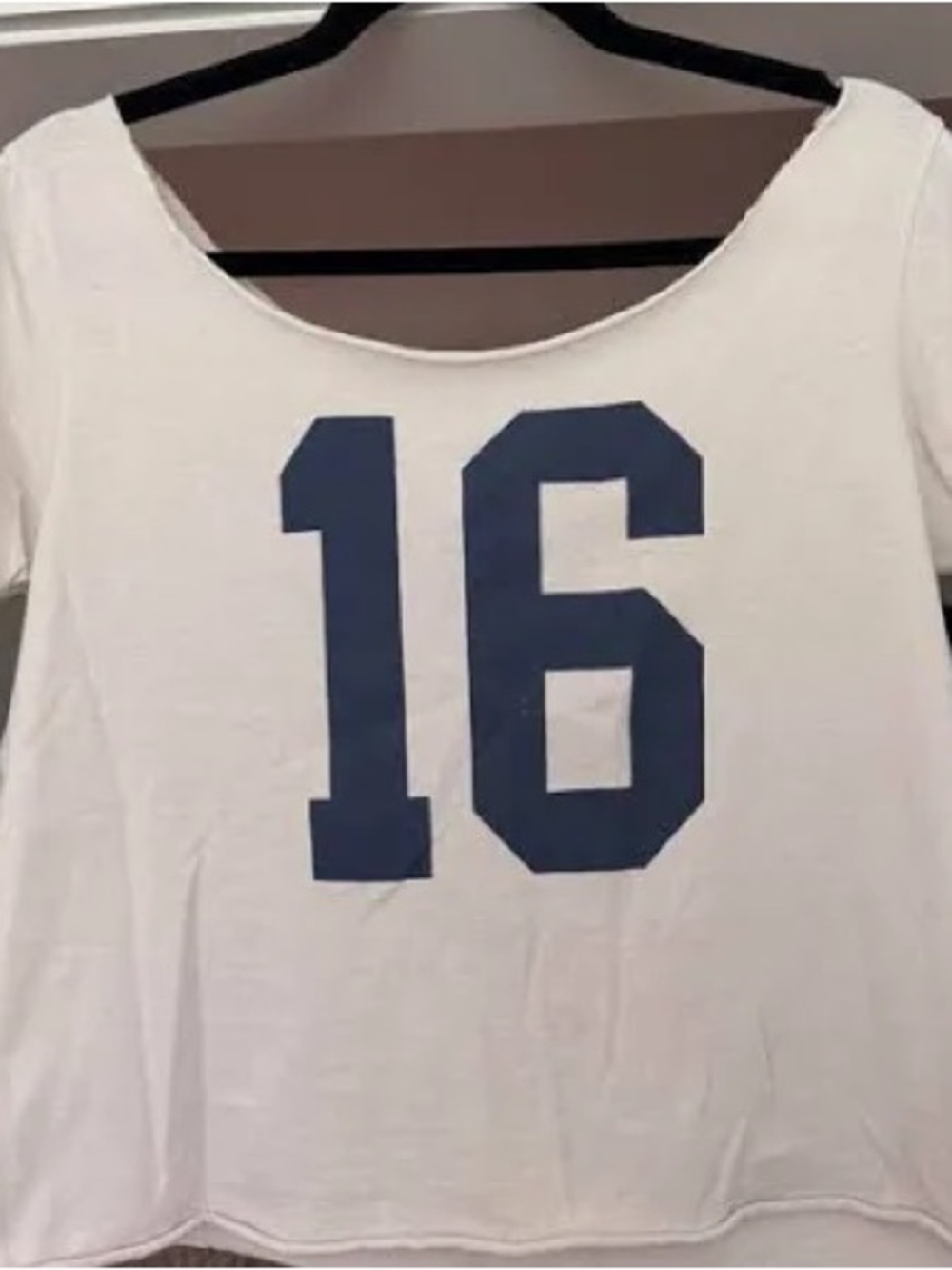 Gray Brandy Melville off the shoulder chloe top
